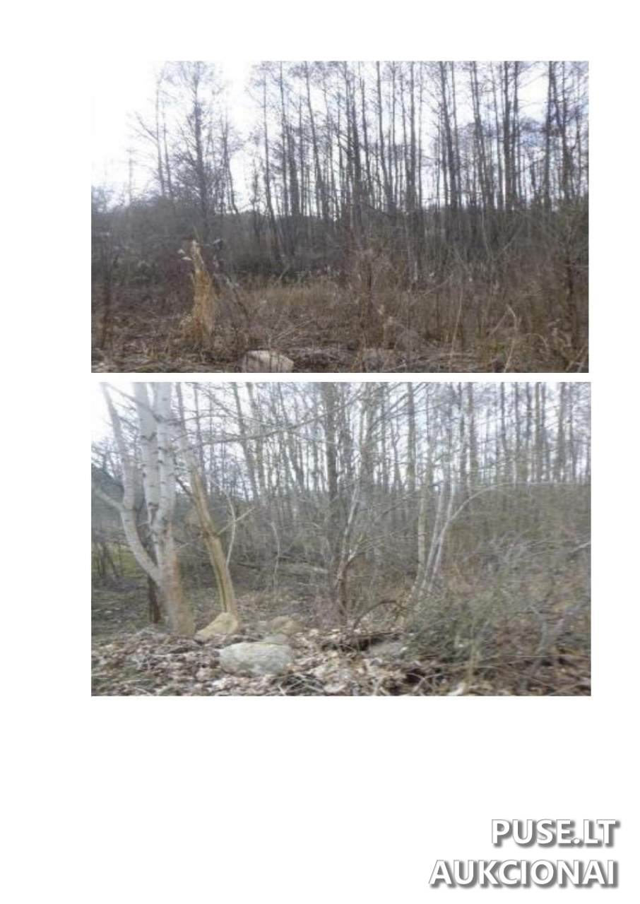 Žemės sklypas Sklypai Pamiškės g. 11, Kalviškės, 31154 Visagino sav., Lithuania 4