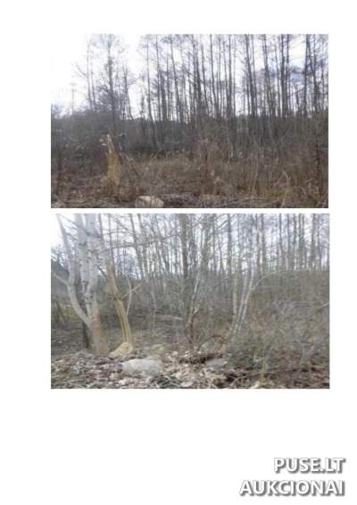 Žemės ūkio paskirties sklypas Visagino sav. 416 EUR pradinė kaina