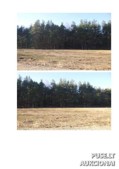 Žemės ūkio paskirties žemės sklypo dalis (1/2) Molėtų rajone, Gojaus kaime, pradinė kaina 11280 EUR