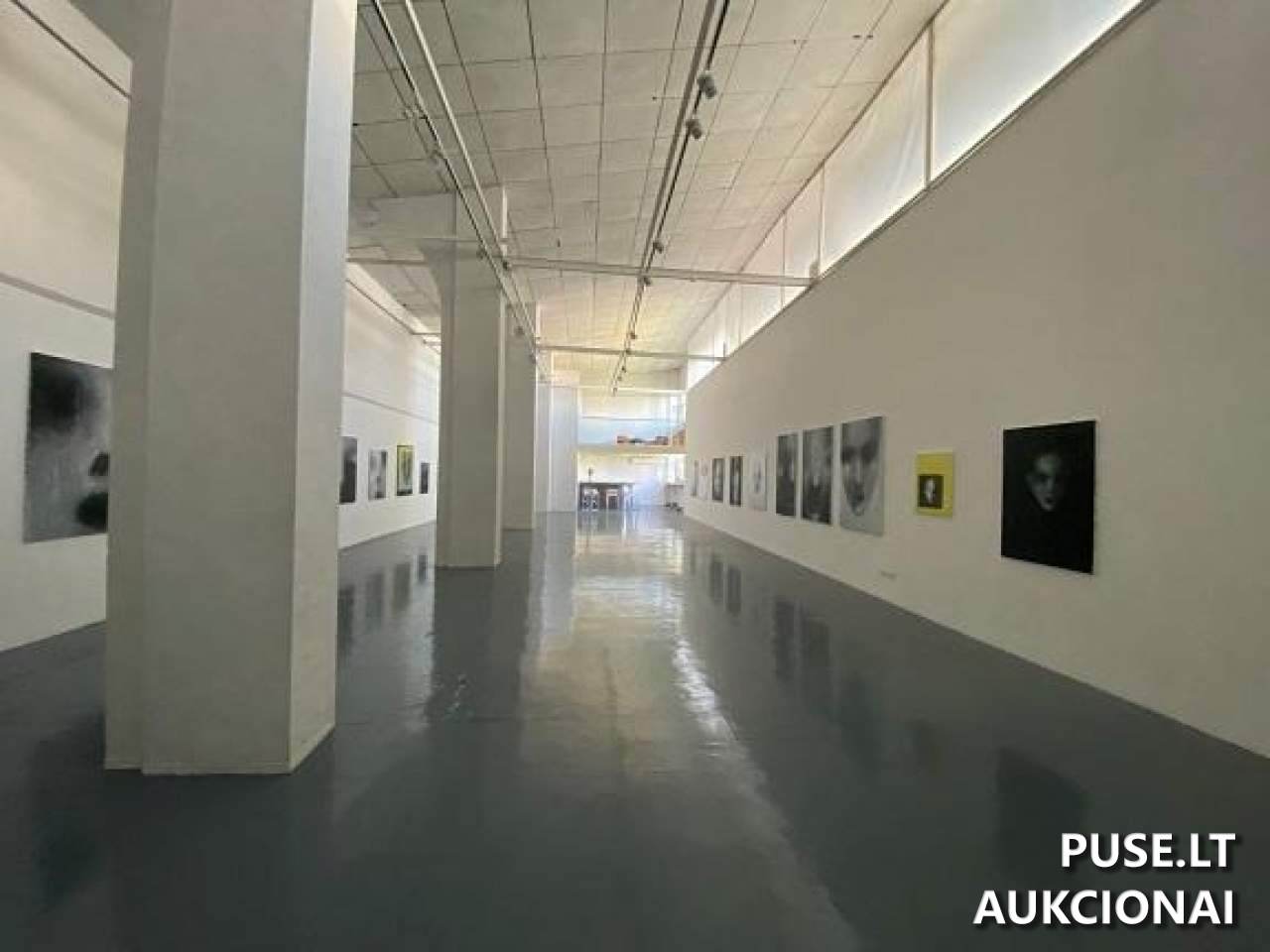 Kultūros rūmai su amerikietiškų kėglių centru Patalpos/Butai Vytenio g. 6, 03113 Vilnius, Lithuania 8