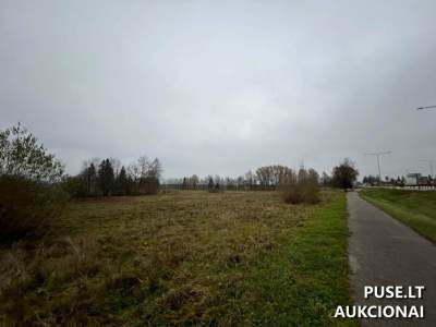 Žemės ūkio paskirties sklypas Kelmės rajone, Grinių kaime, pradinė kaina 2000 EUR