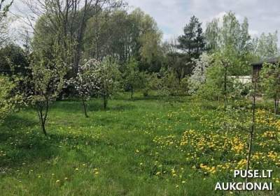 Valstybinės žemės sklypo aukcionas Vilkaviškio m., Naujamiesčio g. 57B, pradinė kaina 4498 EUR