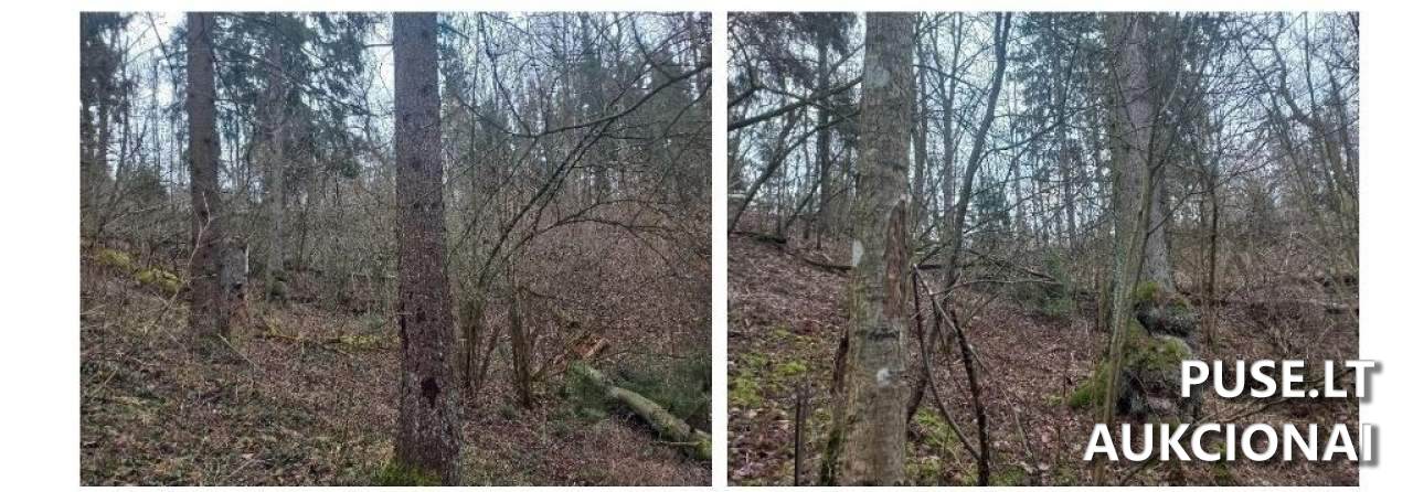 Žemės sklypas Sklypai Širvintos District Municipality, Lithuania 2