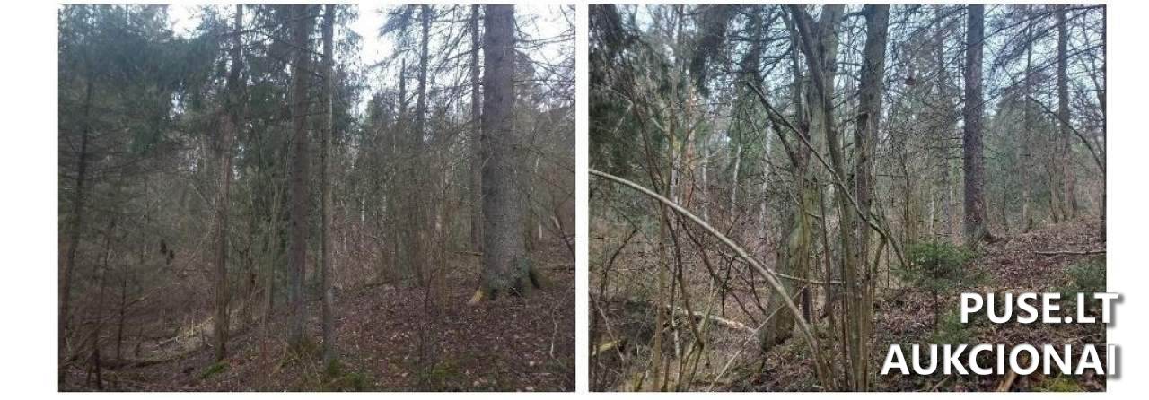 Žemės sklypas Sklypai Širvintos District Municipality, Lithuania 4