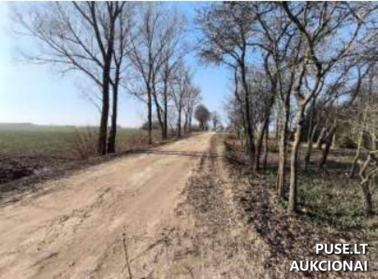 Žemės sklypas Sklypai Navadolė, 70353 Vilkaviškis District Municipality, Lithuania 2