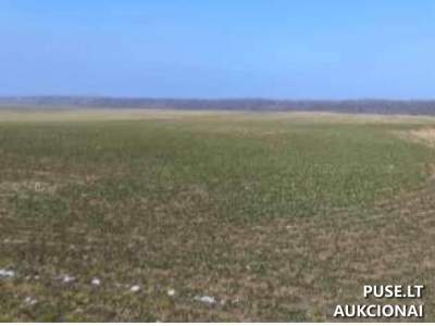 Parduodamas 69200 EUR žemės sklypas Vilkaviškio r.sav. Navadolės k. 1 su areštu