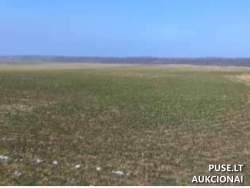 Sklypai - Žemės sklypas