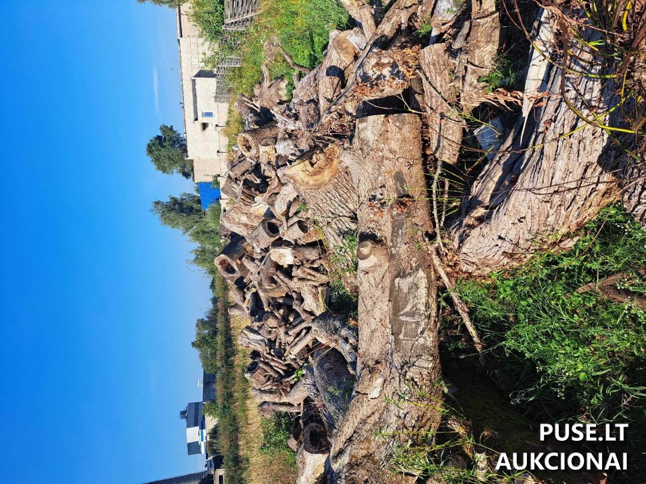 Malkinė mediena Kitas turtas 2
