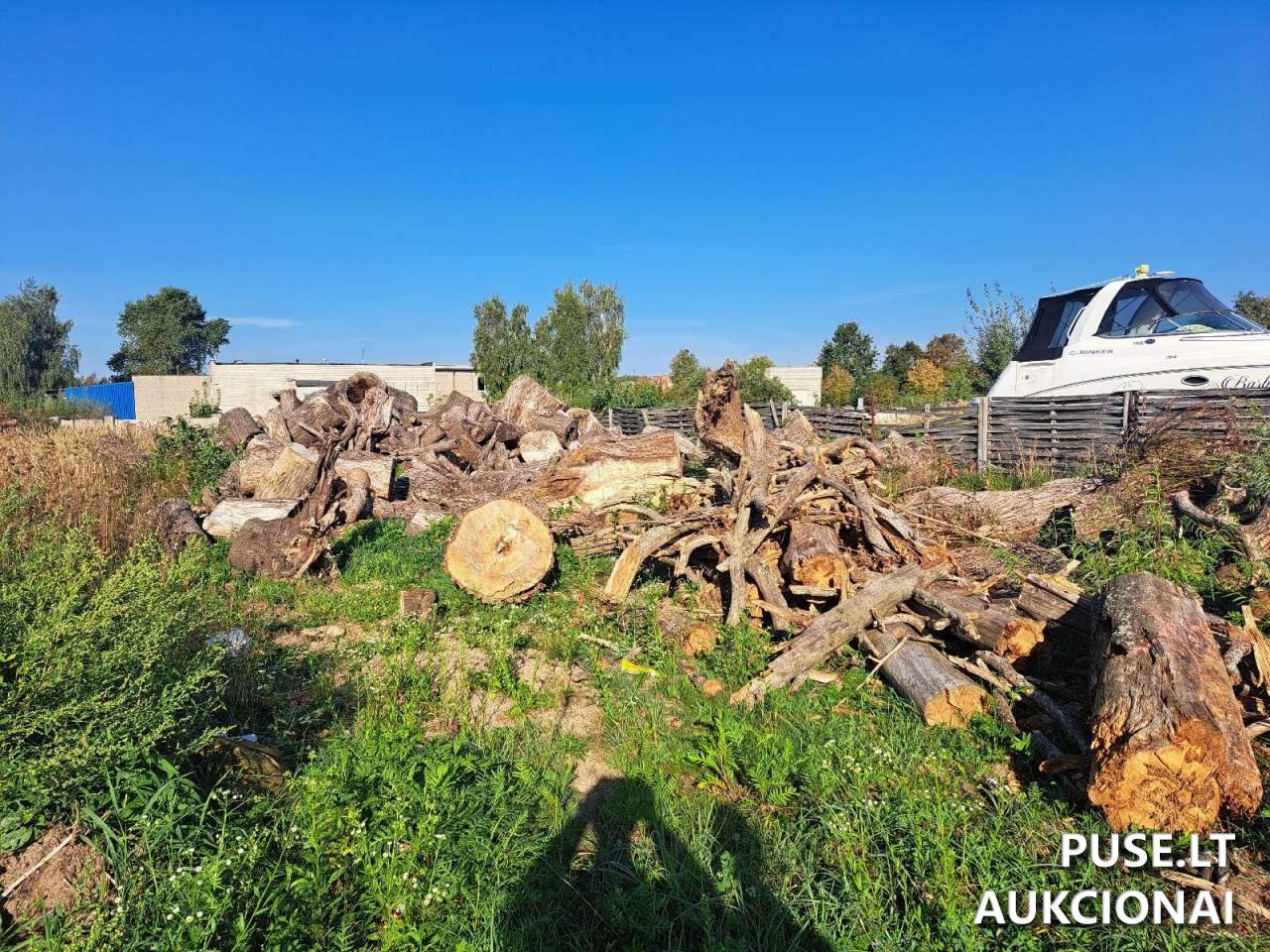 Malkinė mediena Kitas turtas 3