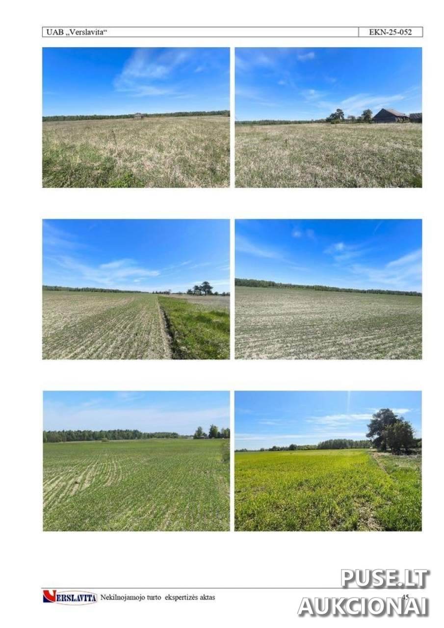 Žemės sklypas Sklypai Kėdainiai District Municipality, Lithuania 3