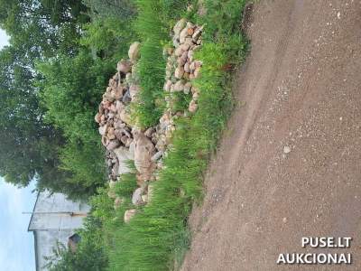 Valstybinis žemės sklypas Ukmergėje, Linų g. 40F, pradinė kaina 48280 EUR