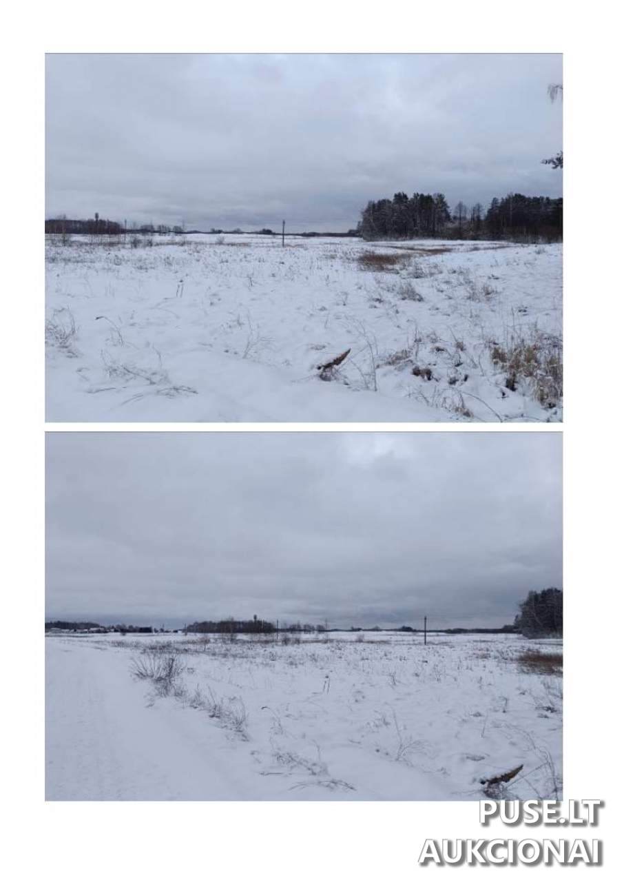 Žemės sklypas Sklypai Toliejų g., 33353 Molėtų r. sav., Lithuania 4