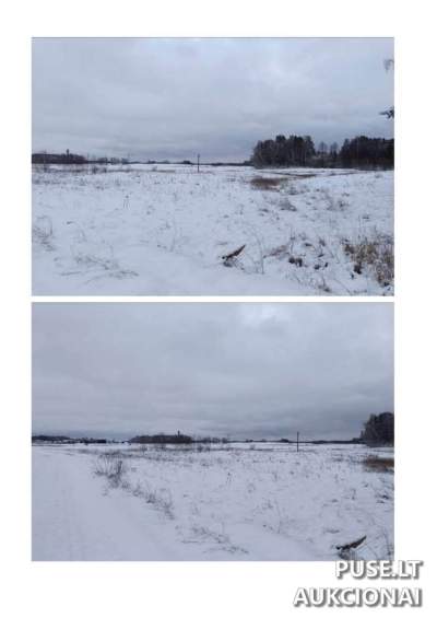 Žemės ūkio paskirties sklypo dalis Molėtų rajone, Toliejų kaime, pradinė kaina 960 EUR