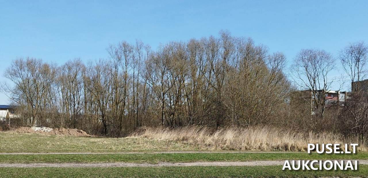 Žemės sklypas Sklypai Jaunystės g. 8A, Radviliškis, 82164 Radviliškio r. sav., Lithuania 1