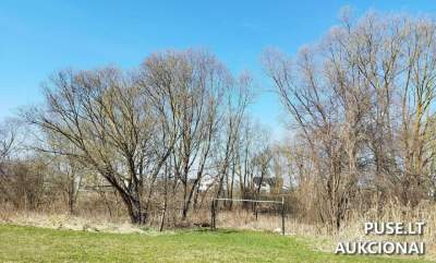 Valstybinis žemės sklypas Radviliškio mieste, Spindulio g. 8, pradinė kaina 8085 EUR