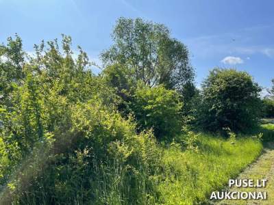 Valstybinės žemės sklypo aukcionas Šiauliuose, Pikeliškės g. 13A, pradinė kaina nuo 13033 EUR