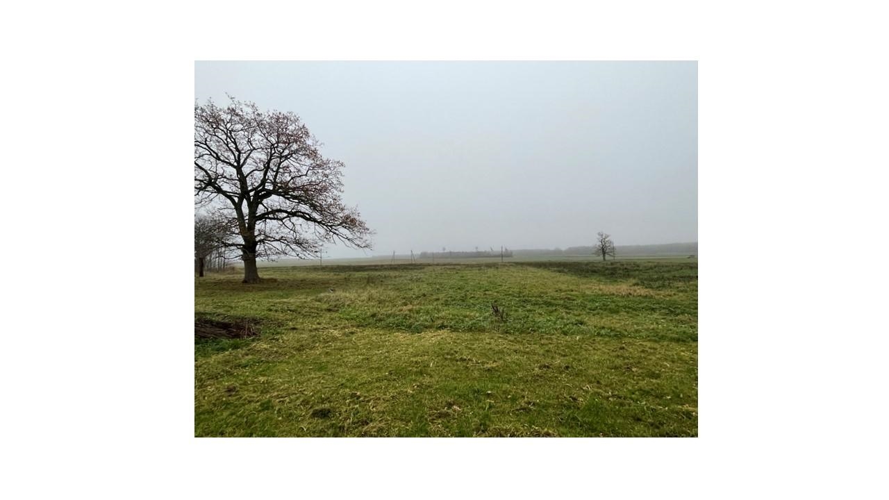 Žemės sklypas Sklypai Pagirio g. 35, 90370 Šiemuliai, Lithuania 8