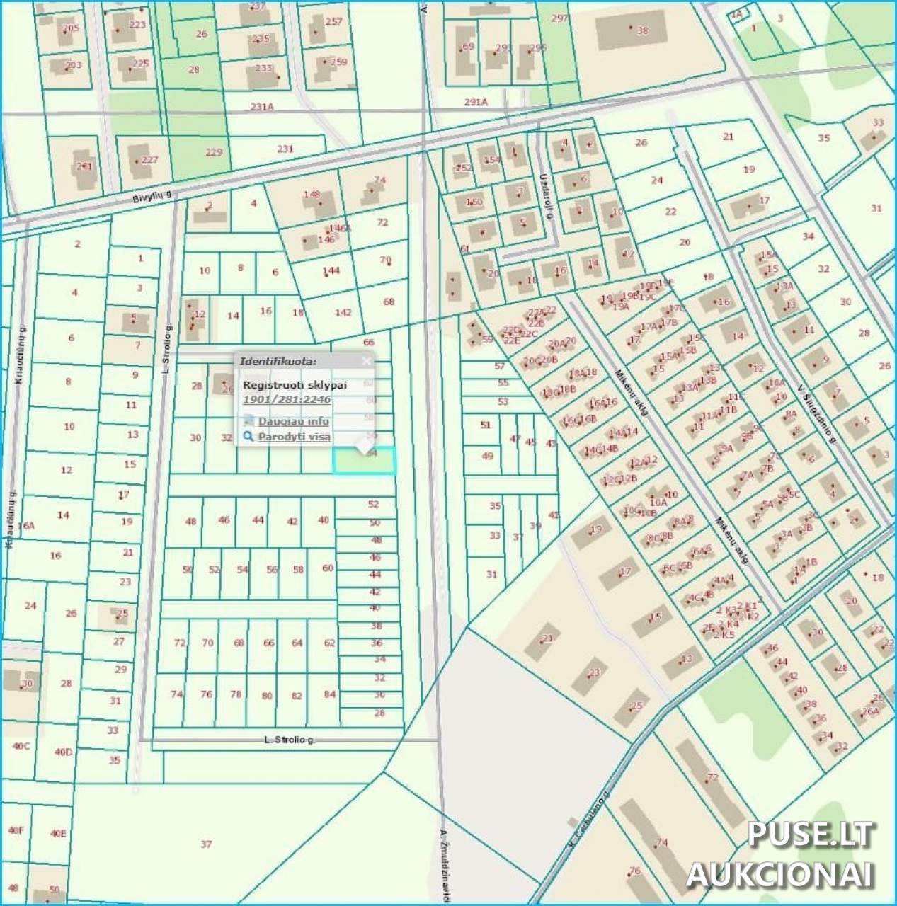 Žemės sklypas Sklypai A. Žmuidzinavičiaus g. 54, Kaunas, 47239 Kauno m. sav., Lithuania 5
