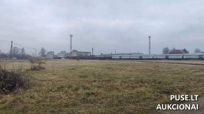 Valstybinės žemės nuomos aukcionas Šiauliuose, Kėdainių g. 4A, pradinė kaina 338 EUR