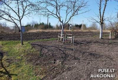 Valstybinės žemės sklypas Radviliškyje, Aušrinės g. 20, parduodamas aukcione nuo 3731 EUR