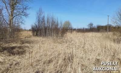 Žemės sklypas Radviliškyje, Gabijos g. 24, parduodamas aukcione nuo 4471 EUR