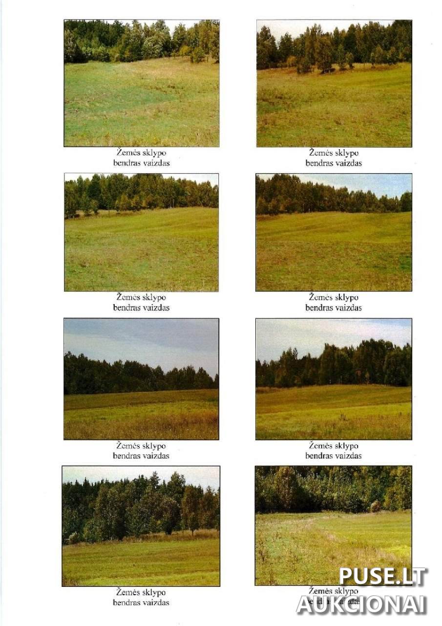 Žemės sklypas Sklypai Daugų sen., 64146 Alytaus r. sav., Lithuania 3