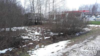 Valstybinis žemės sklypas Plungėje, Žaltakalnio g. 8B, pradinė kaina 93500 EUR