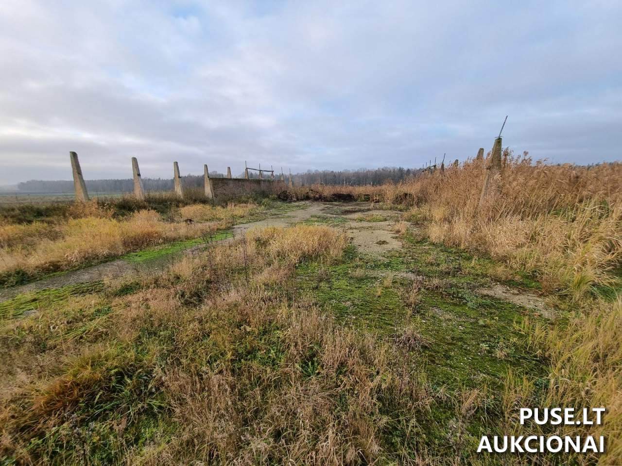 Silosinė - aikštelė Kiti statiniai Užpievio g. 7, Šiemuliai, 90370 Plungės r. sav., Lithuania 1