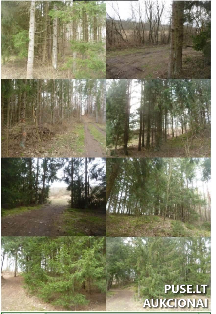 Žemės sklypas Sklypai Ukmergė District Municipality, Lithuania 3