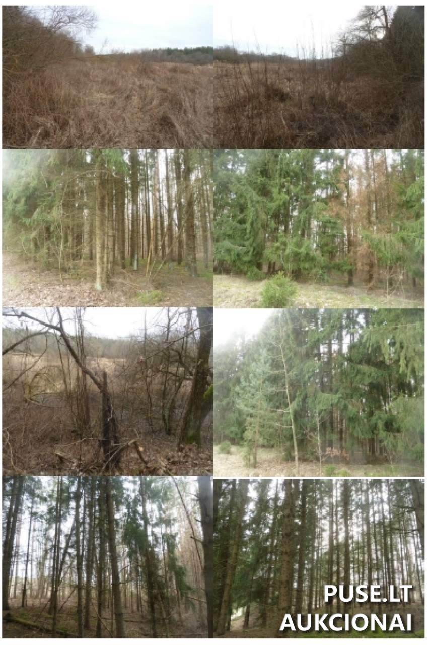Žemės sklypas Sklypai Ukmergė District Municipality, Lithuania 5
