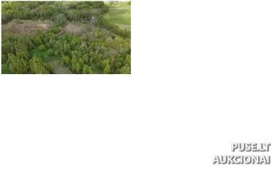 Žemės sklypas Molėtų r. sav., Kliukų k. - Pradinė kaina 3760 EUR - Antstolių varžytynės