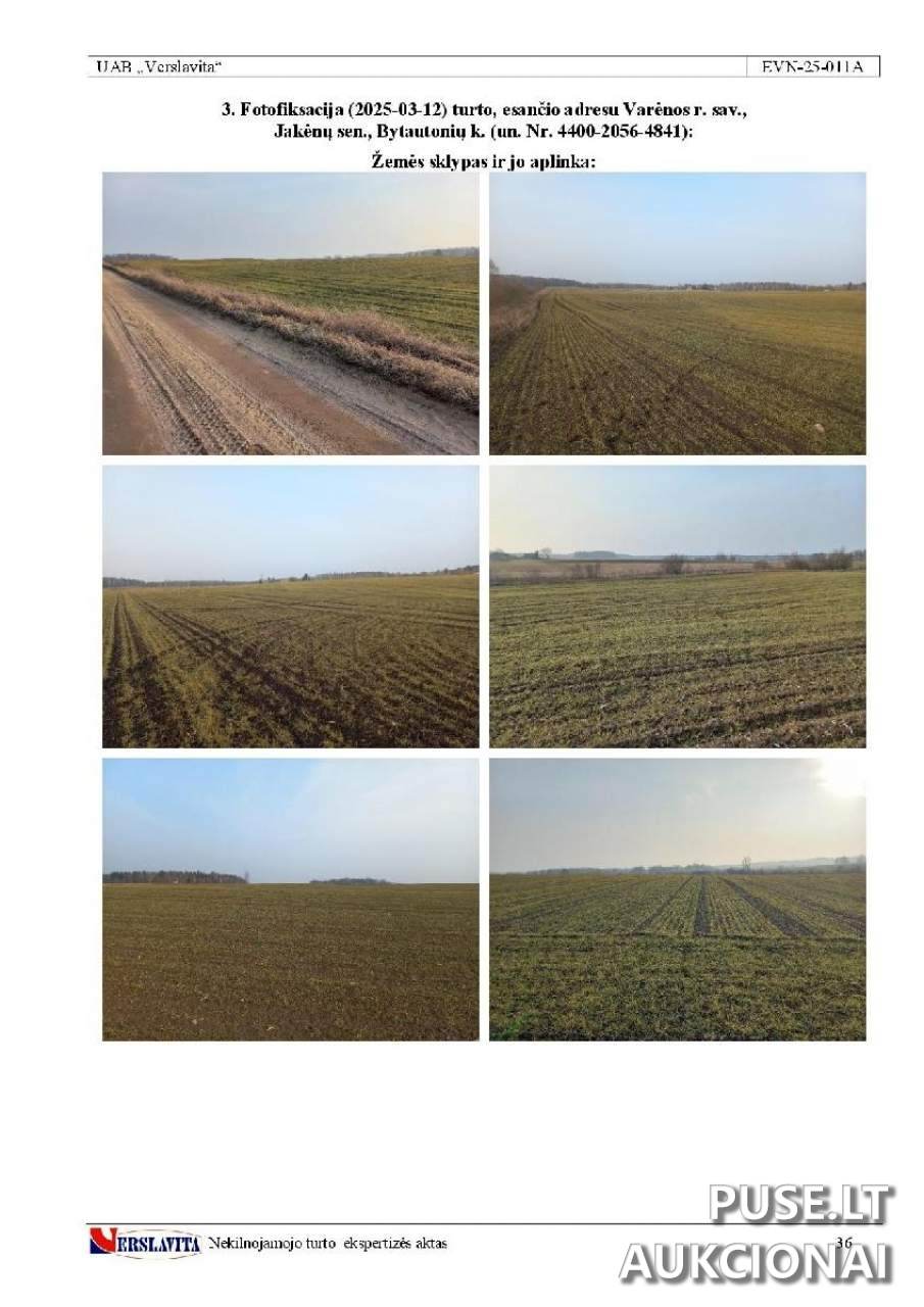 Žemės sklypas Sklypai Bytautonių g., Žilinai, 65417 Varėnos r. sav., Lithuania 1