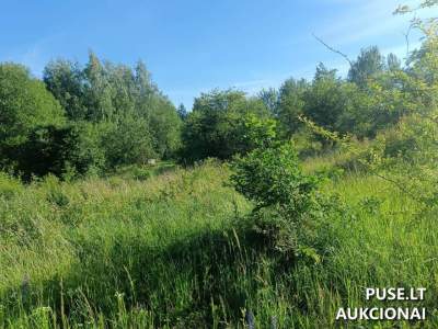 Žemės ūkio paskirties sklypas Jurbarko r., Antkalnių k., 1600 EUR pradinė kaina