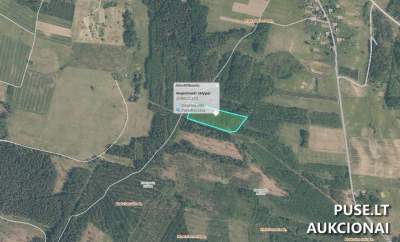 Žemės sklypas Ignalinos r. sav., Maksimonių k., parduodamas aukcione nuo 2400 EUR