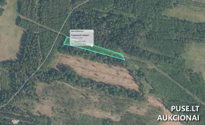 Žemės sklypas Ignalinos r. sav., Maksimonių k. parduodamas aukcione nuo 600 EUR