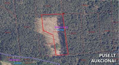 Žemės sklypas Širvintų r. sav., Pajuodžių k. miškas 3600 EUR - Antstolių varžytynės