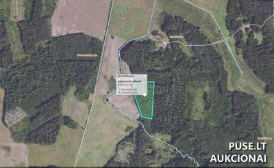 Žemės sklypas Švenčionių r. Daukšių kaimynystėje 3600 EUR pradinė kaina, miškų ūkio paskirties sklypas aukcione