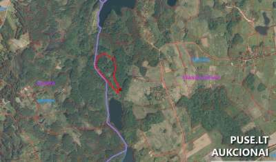 Miškas Švenčionių rajone, Kniceriškės kaim., tarp Mergežerio ir Mažerio, 12000 EUR