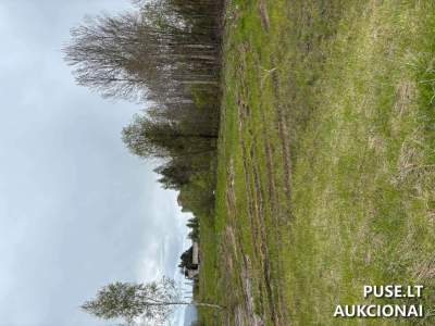 Valstybinis žemės sklypas Telšių r. sav., Luokės mstl., Telšių g. 66C, pradinė kaina 6010 EUR