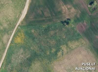 Žemės ūkio sklypas Vilniaus rajone, Maišiagaloje 0.66 ha, pradinė kaina 28080 EUR