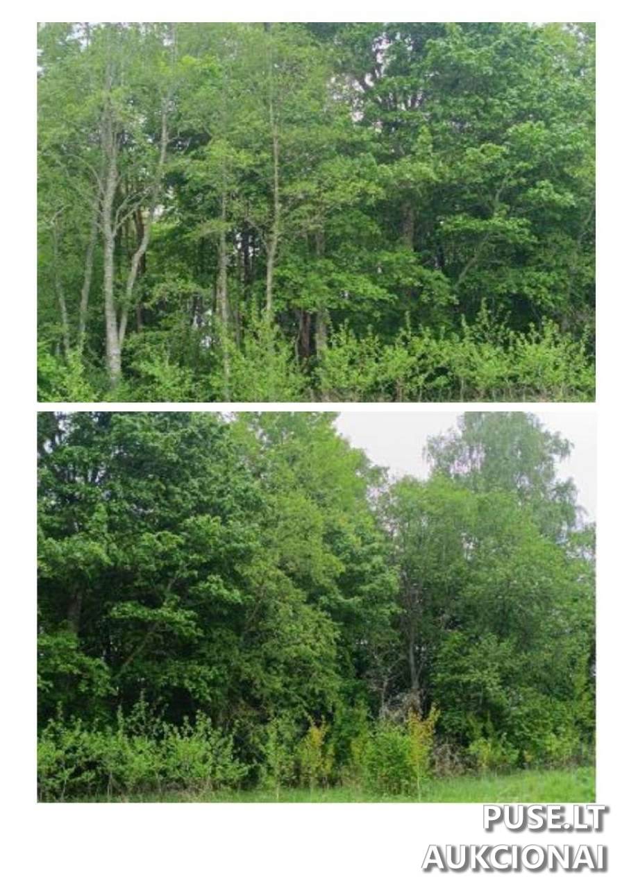 Žemės sklypas Sklypai Švenčionys District Municipality, Lithuania 1