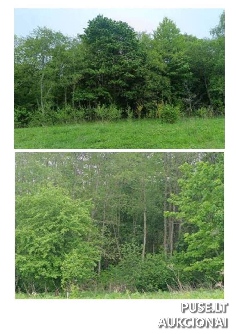 Žemės sklypas Sklypai Švenčionys District Municipality, Lithuania 4
