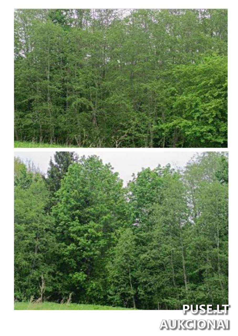 Žemės sklypas Sklypai Švenčionys District Municipality, Lithuania 5