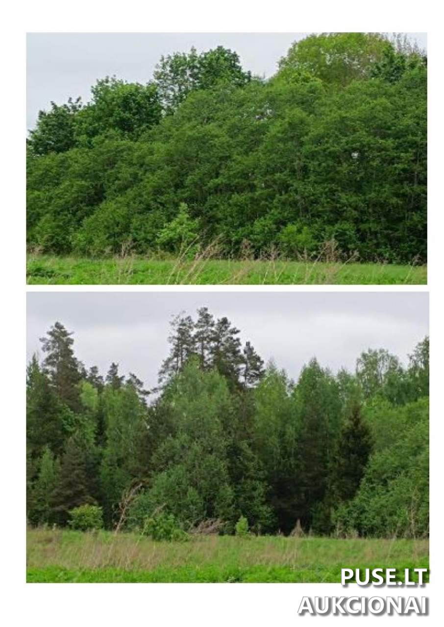 Žemės sklypas Sklypai Švenčionys District Municipality, Lithuania 6