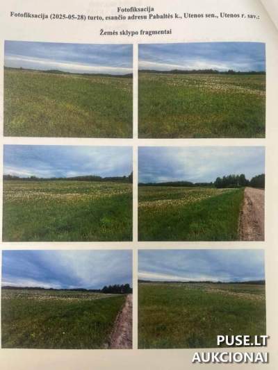 Parduodamas 2.58 ha žemės ūkio sklypas Utenos rajone, Pabaltės kaime, pradinė kaina 3760 EUR