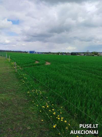 1 hektaro žemės sklypas Mažeikių rajone, Pocaičių kaime, pradinė kaina 11000 EUR