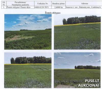 Žemės ūkio paskirties sklypas Jonavos rajone, Liutkūnų kaime, aukcione nuo 13360 EUR
