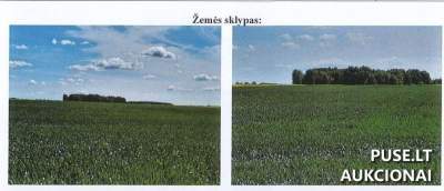 Žemės ūkio paskirties sklypas Jonavos rajone, Liutkūnų kaime, pradinė kaina 13360 EUR