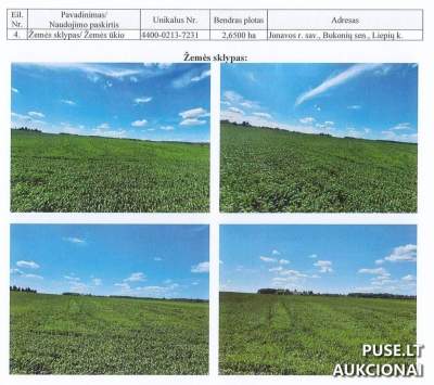 Žemės ūkio paskirties sklypas Jonavos rajone, Liepių kaime, pradinė kaina 13600 EUR