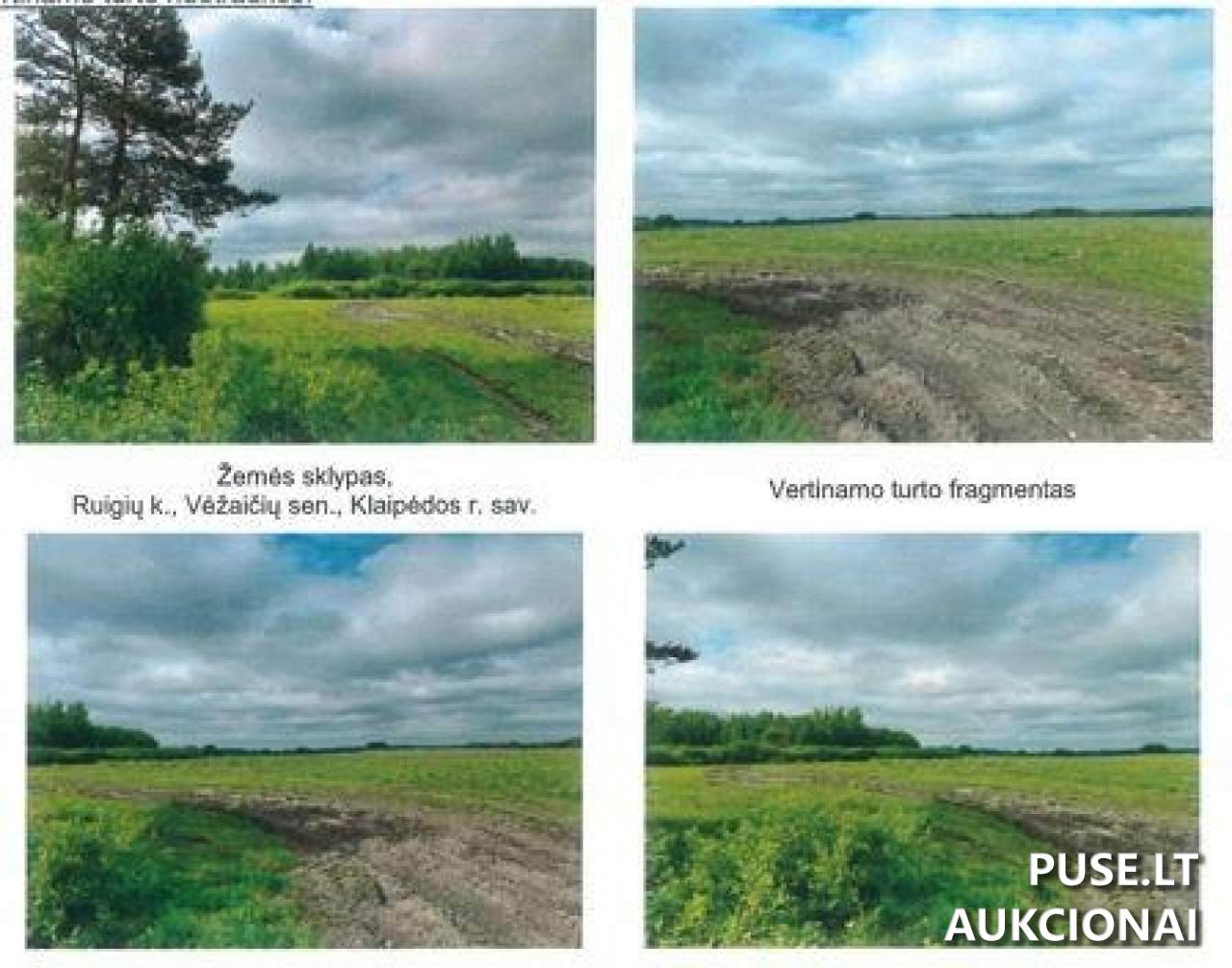 Žemės sklypas Sklypai Ruigių g., 96274 Klaipėdos r. sav., Lithuania 1